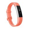 图片 Fitbit Alta HR 心率腕带   L