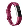 图片 Fitbit Alta HR 心率腕带   L