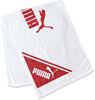 图片 Puma 彪马 训练运动毛巾 A ( 90 x 35 cm ) 869248 [ 不分男女 ]